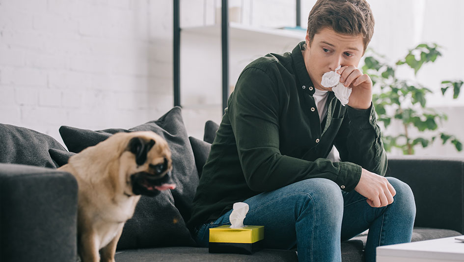 Installing an air purifier is one of the wisest ways to improve your home’s indoor air quality. Find out more about the three top solutions. 